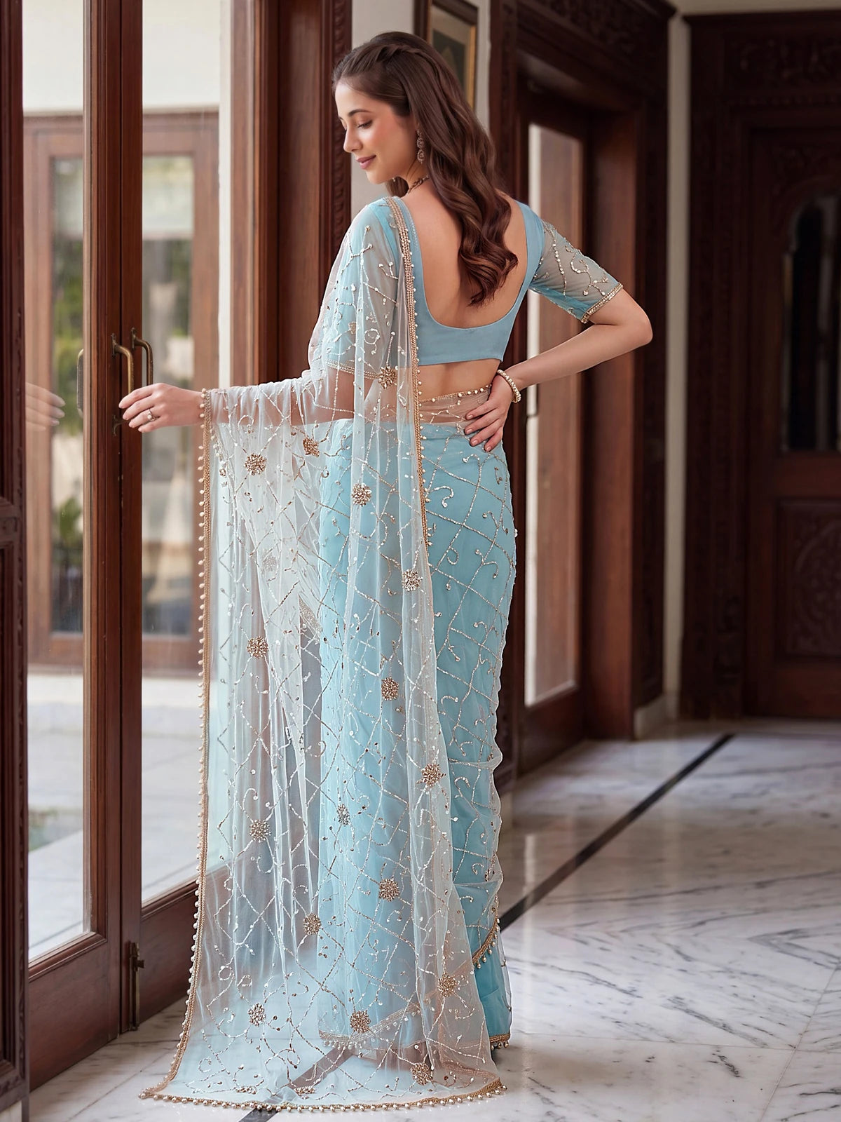 Tarani sky blue net saree back blouse view with embroidered pallu