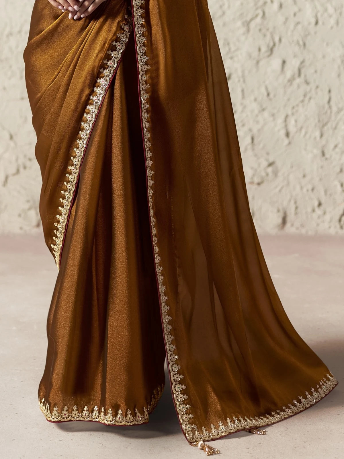 Tarani brown organza saree pallu view with embroidered lace border detailing