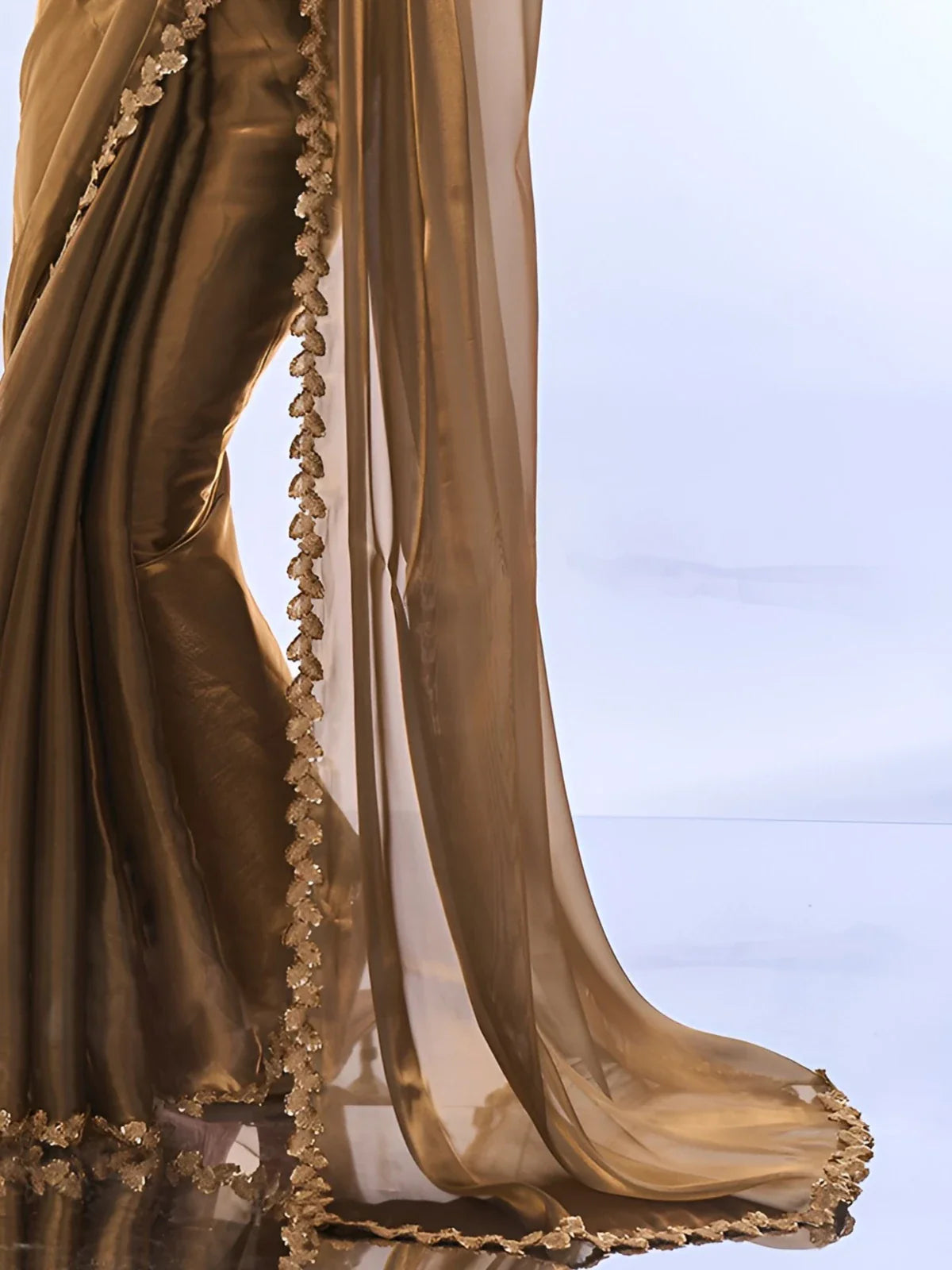 Tarani brown organza saree highlighting transparent pallu and detailed lace embroidery