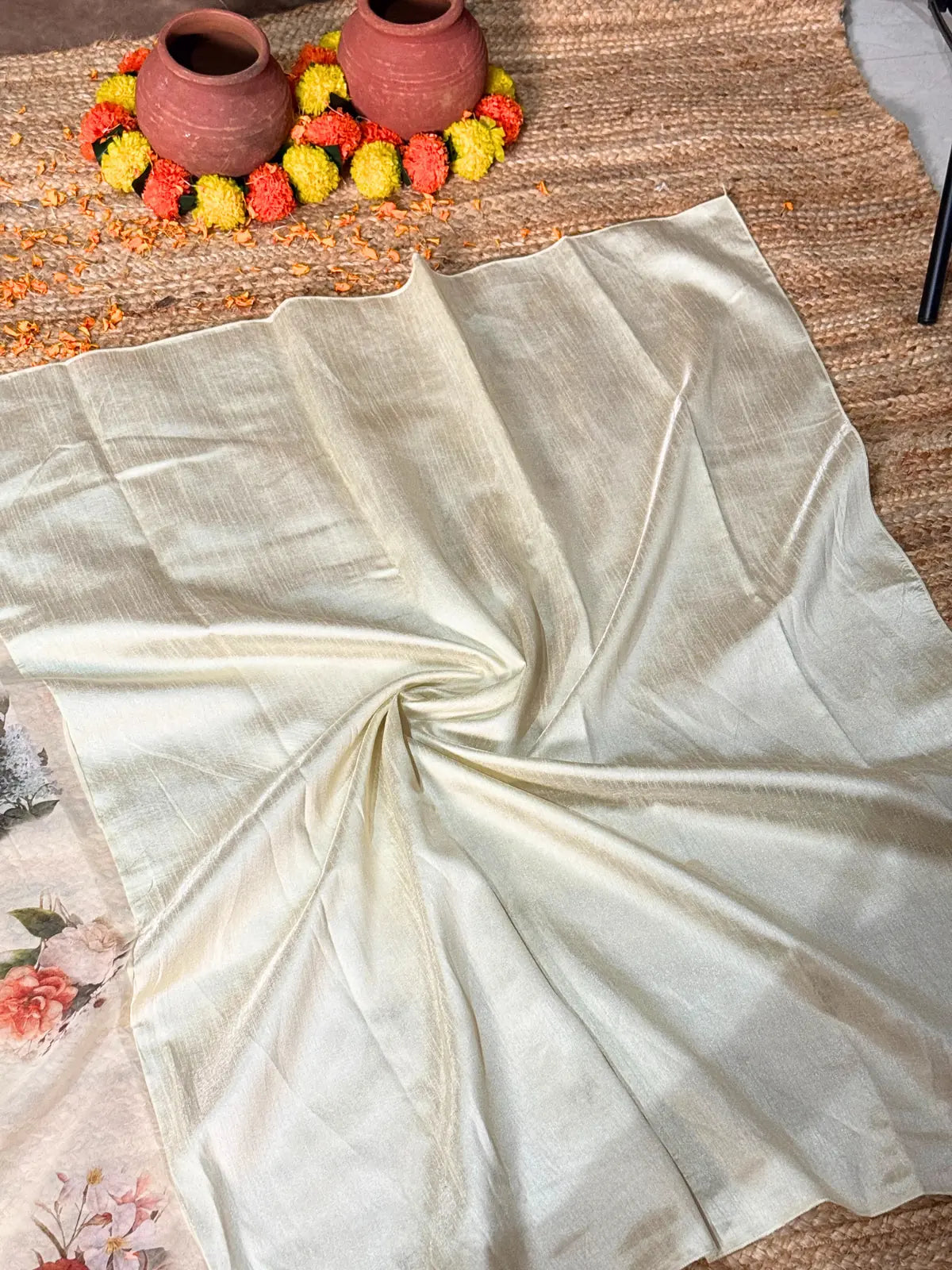 Tarani offwhite silk saree blouse fabric view with golden border