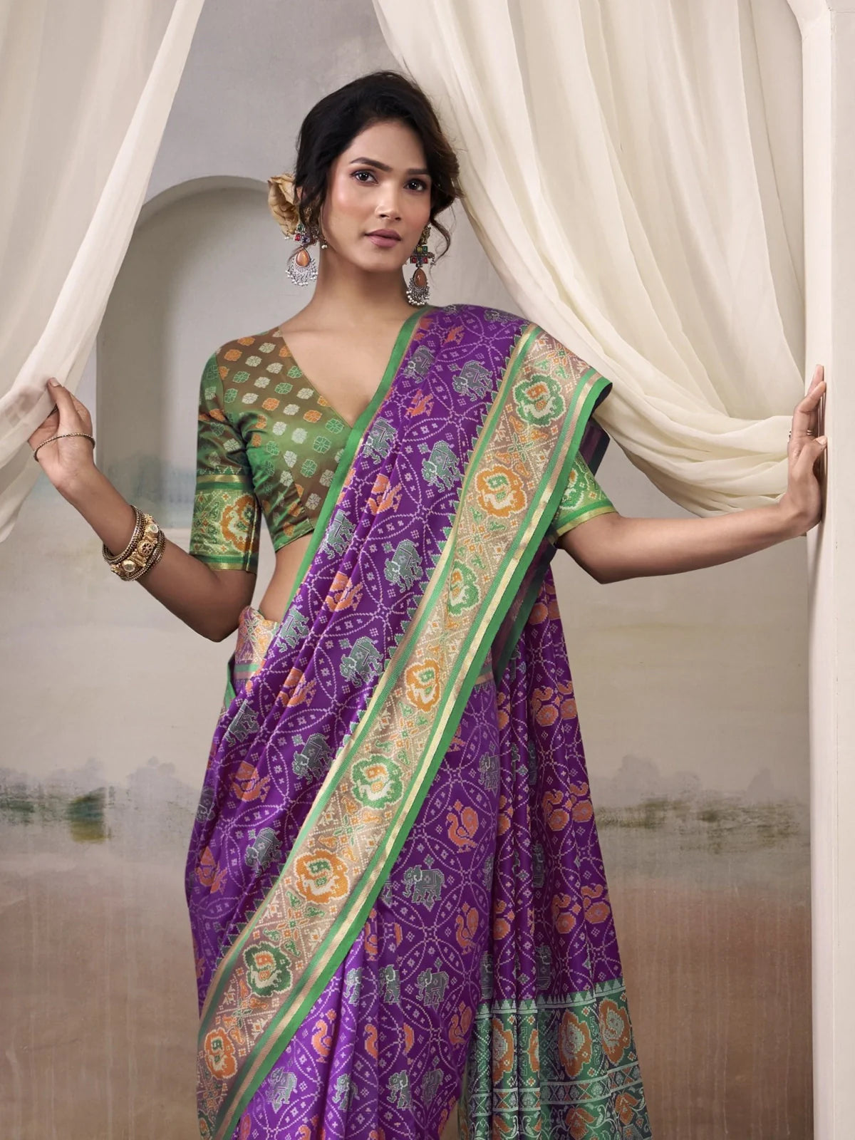 Tarani Patola silk saree front view highlighting intricate woven motifs
