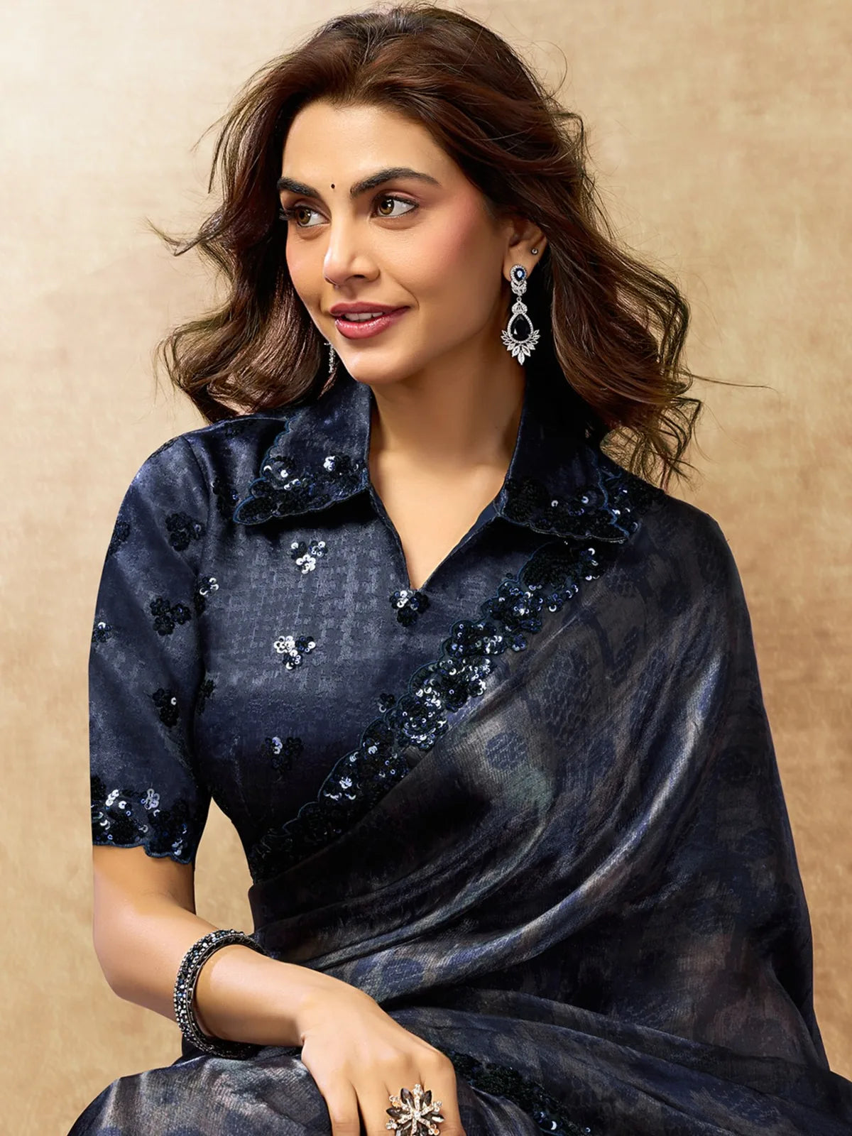 Tarani Kshiti satin silk saree upper body view showing brocade jacquard blouse