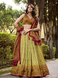 Ulka Silk Lehenga