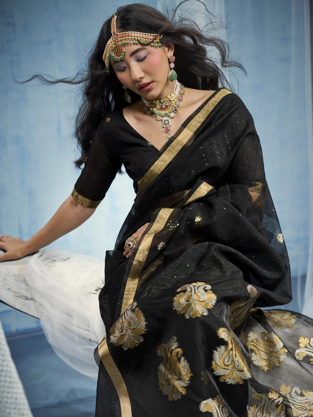 Tarani black Pure Munga Silk Handloom saree closeup-view with organza pallu and woven border