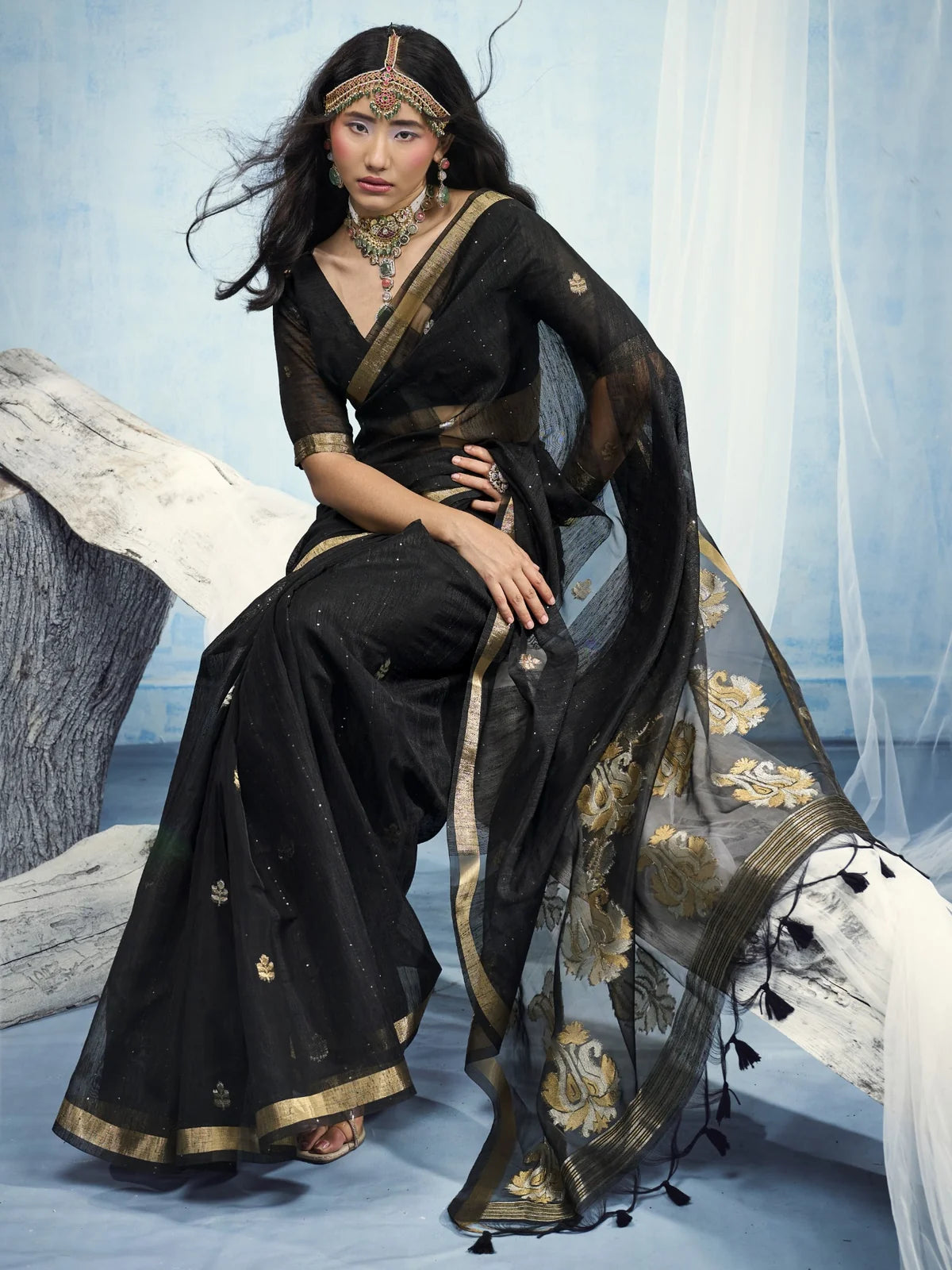 Tarani black Pure Munga Silk Handloom saree pallu-view with organza pallu and woven border