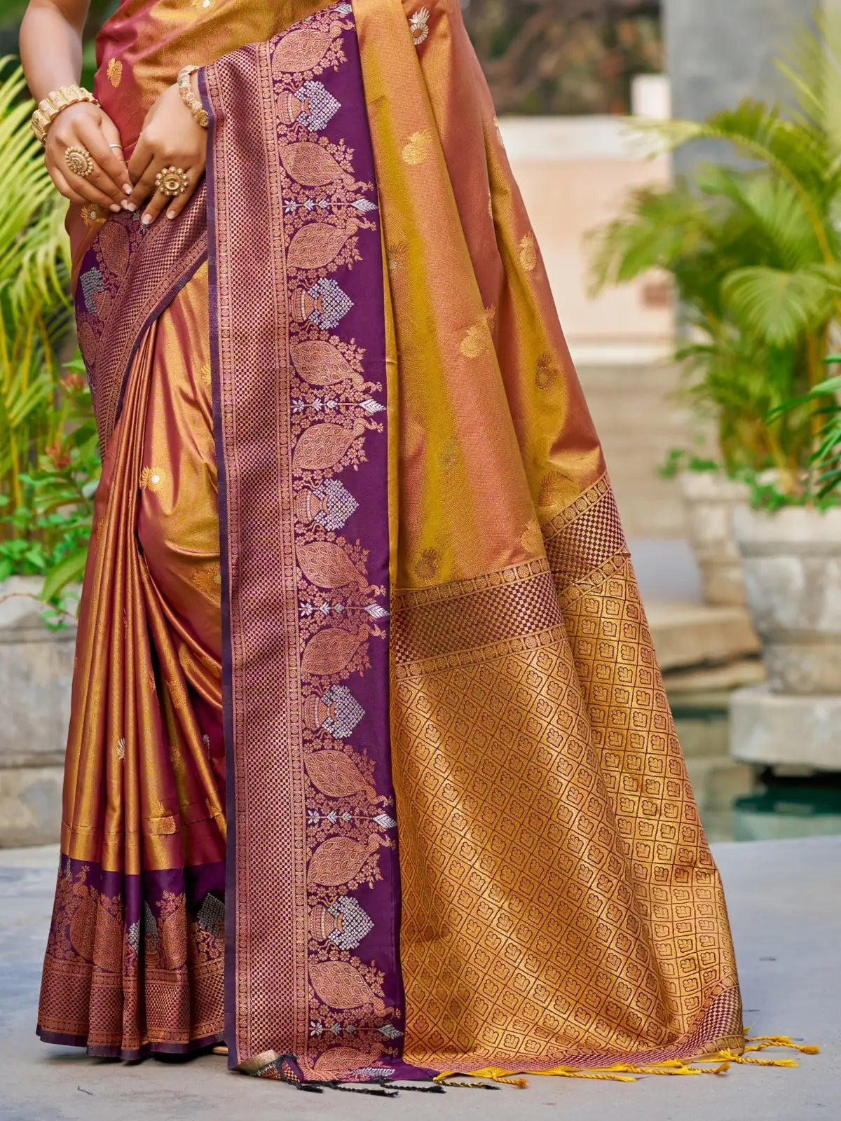 Tarani golden silk saree pallu view with rich zari woven detailing and purple contrast border
