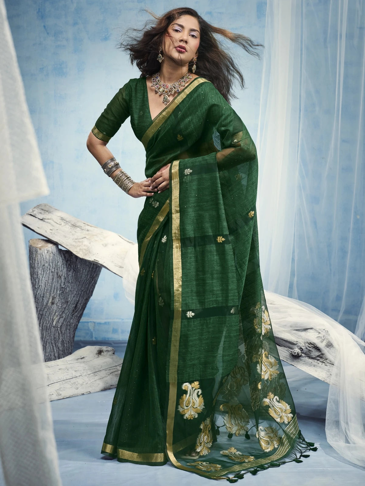 Tarani green Pure Munga Silk Handloom saree full-view with organza pallu and weaving border