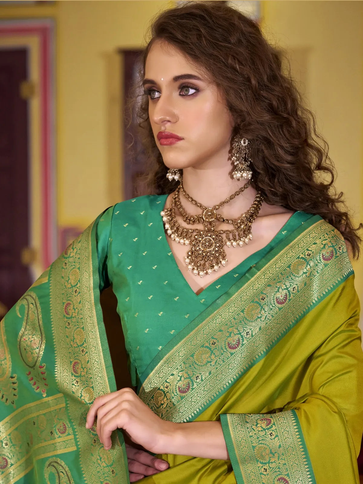 Tarani elegant green silk saree upper body view with blouse and border detailing