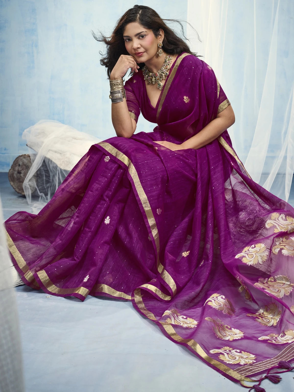 Tarani front view pure Munga Silk Handloom saree with elegant organza pallu