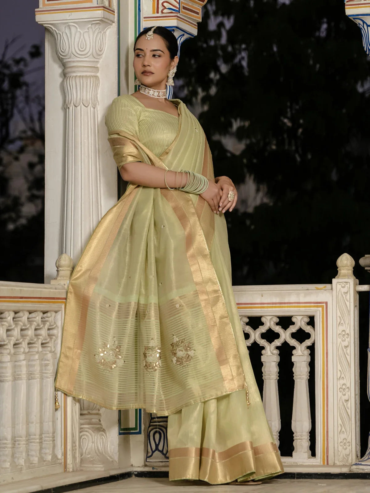 Tarani light green tissue linen saree elegant front view with embroidery