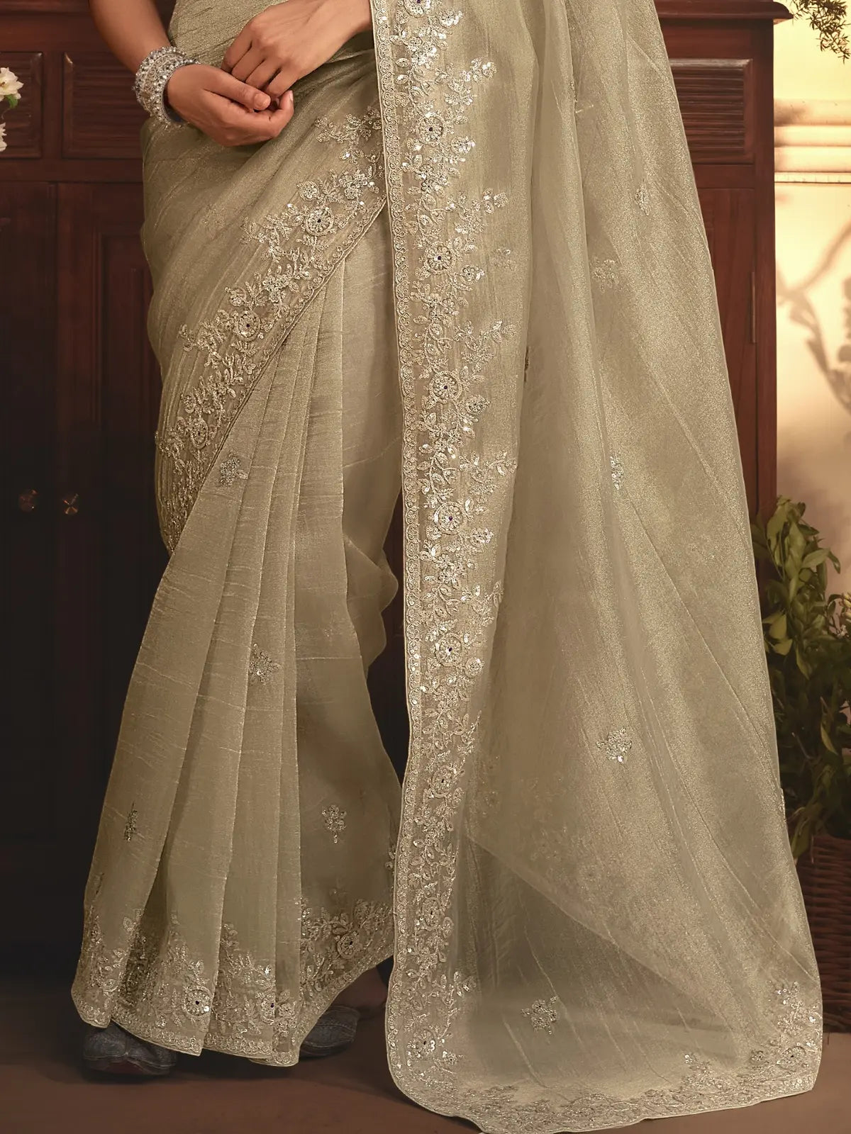 Tarani beige tissue organza saree highlighting embroidered pallu and border