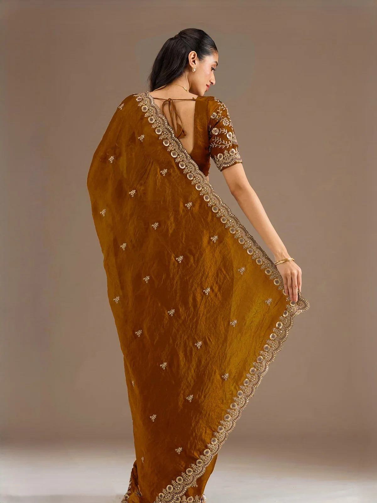 Tarani Rajeshri golden tissue saree back view showcasing embroidered pallu