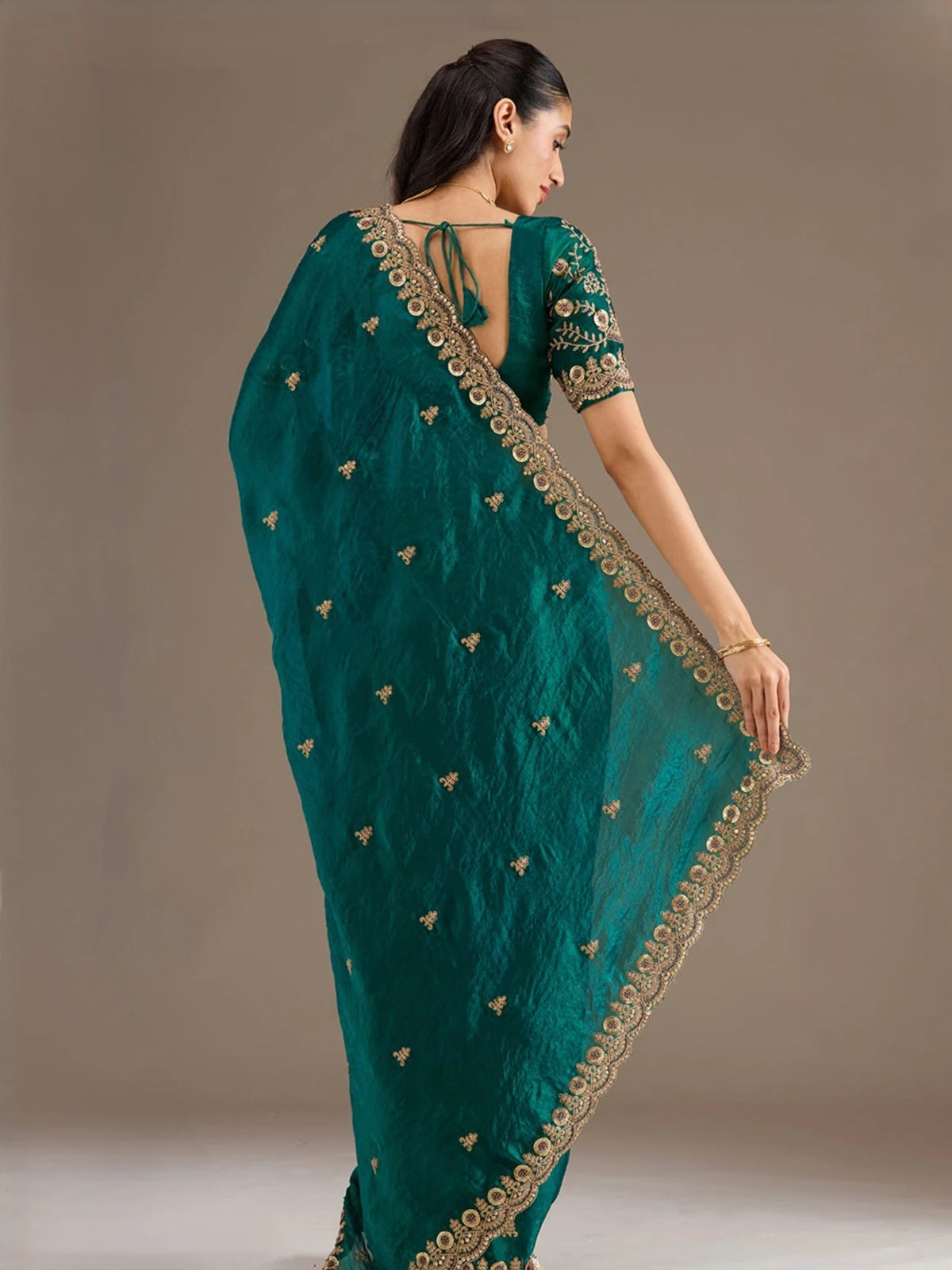 Tarani Falak tissue saree back view showing blouse design and pallu