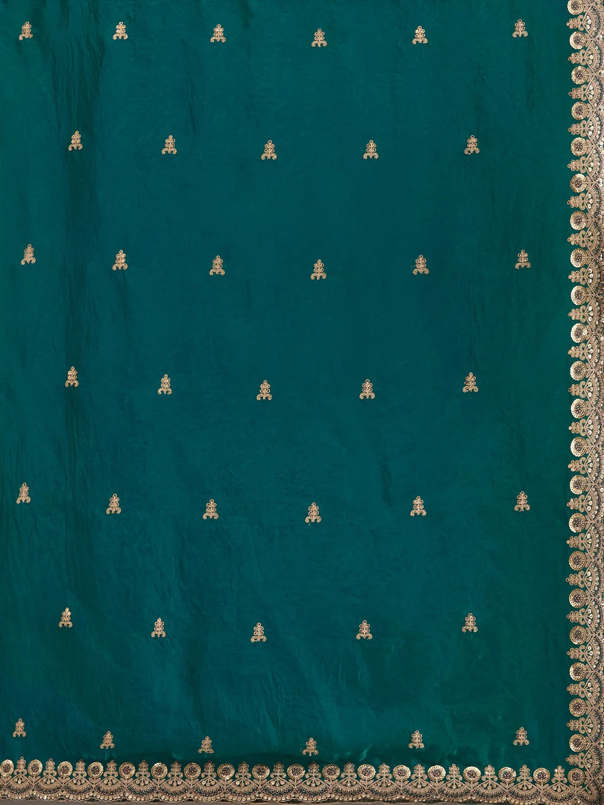 Tarani Falak tissue saree closeup of embroidery motifs and border work