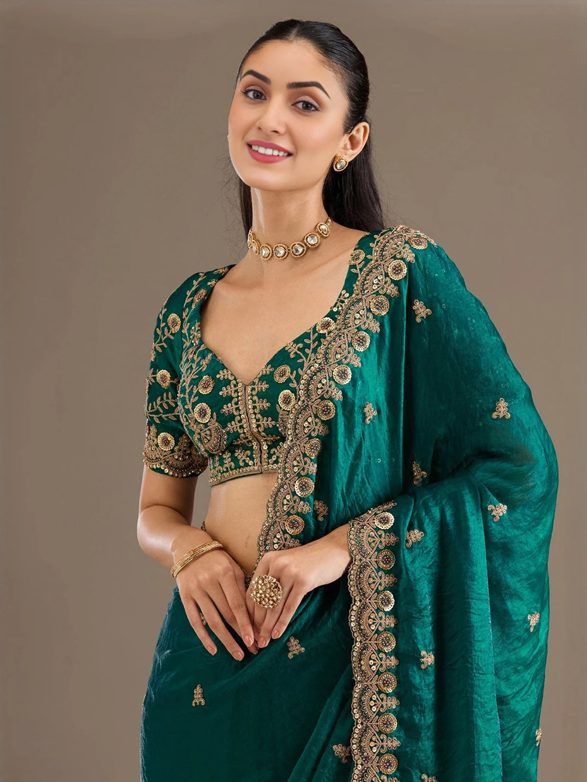 Tarani Falak tissue saree upper body view highlighting embroidered blouse