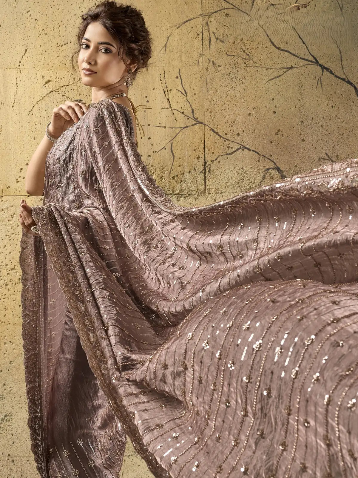 Tarani taupe Velvet Satin saree front pose with elegant designer drape