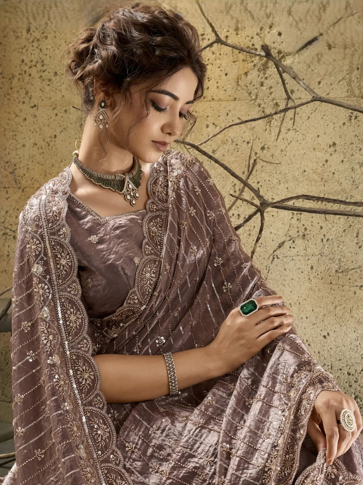 Tarani taupe Velvet Satin saree upper body view showing embroidered blouse and border