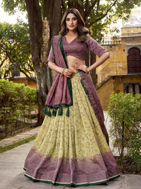 Meena Vichitra Lehenga